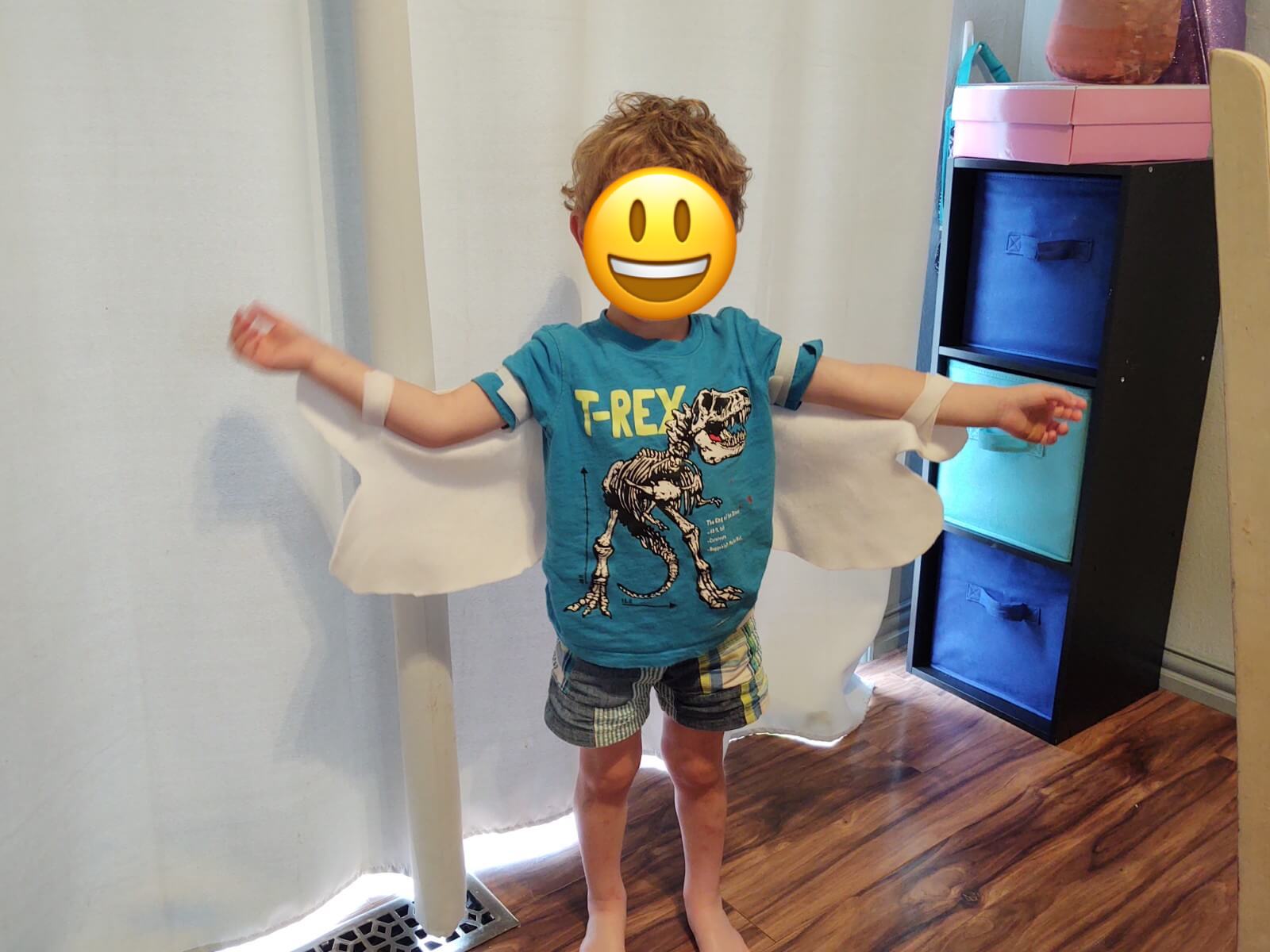 Dragonfly No-Sew Wings Picture 1